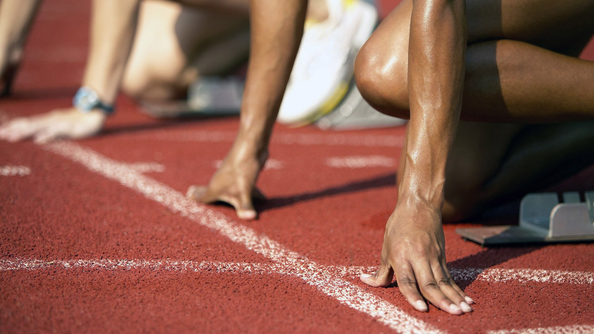 体育教育公平性现状分析与政策建议研究，体育教育政策观点